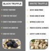 Truffle PRO Mushroom Powder Mix 25- in - 1 Super Blend 5000 mg, with Black Truffle and White Truffle - 340 gr Pack - Image 8